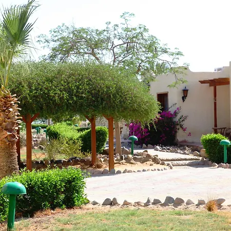 Magawish Swiss Inn Resort Hurghada-3